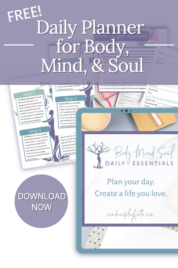 free daily planner pin
