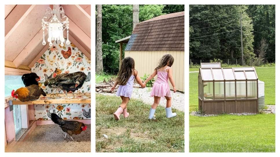 chickens, grandgirls, and gardening on the homestead